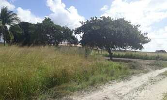 Imagem 4: Excelente Fazenda com 96 hectares na região vera cruz