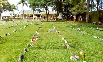 Imagem 2: Lote/Terreno para venda tem 5 metros quadrados em Ouro Fino - São José dos Pinhais - PR