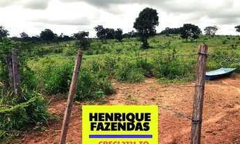 Imagem 4: Fazenda Miracema 425,92 hectares