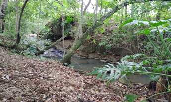Imagem 7: Chácara em mairipotaba a 80 km de Goiânia com corrego energia chacaras 20.000 metros