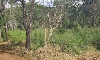 Imagem 5: Chacara a 40 km de goiania entre Teresópolis e Nerópolis 1000 metros com energia
