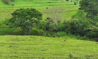 Imagem 6: Terezópolis de Goiás - Chácara
