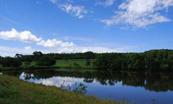Imagem 3: Terezópolis de Goiás - Chácara