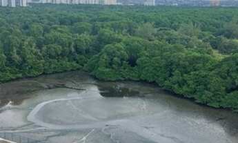 Imagem 2: Apartamento para venda com 74 metros quadrados com 3 quartos em Pina - Recife - PE