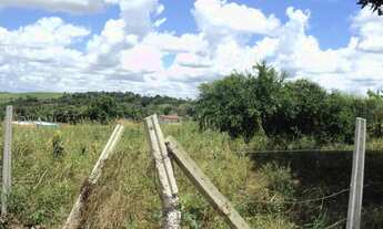 Imagem 4: Terreno com 1 Hectare ao lado da Exposição de Animais de Carpina