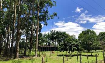 Imagem 6: Sítio Iguape 6 alqueire duas casa