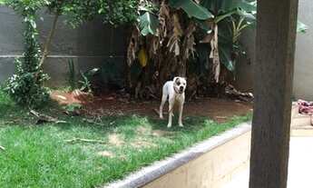 Imagem 7: Vendo minha casa em Itapipoca no Bairro Boa Vista,casa com 2 quartos 2 banheiros e garagem