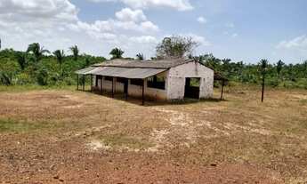 Imagem 5: Sítio Cajupary Chácara com venda por R$250.000