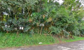 Imagem 5: Lote/Terreno para venda tem 4430 metros quadrados em Augusta - Curitiba - PR