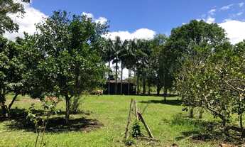 Imagem 5: Sítio Iguape 6 alqueire duas casa