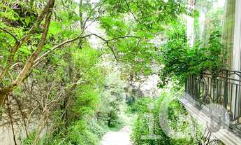 Imagem 2: De onde você olhar, alí estão o verde exuberante e muita luminosidade!!!