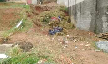 Imagem 4: TERRENO RUA ASFALTADOA