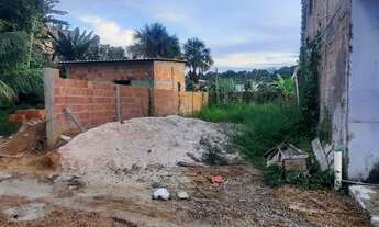 Imagem 2: Terreno na beira da pista