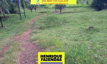 Imagem 2: Fazenda no Tocantins Porto Nacional