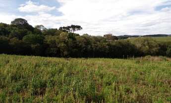 Imagem 4: Linda chacara apenas 1 km do asfalto em Indios(Lages Sc