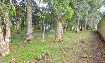 Imagem 7: Lote/Terreno para venda tem 4430 metros quadrados em Augusta - Curitiba - PR