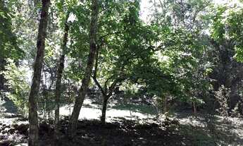 Imagem 4: Área à venda no bairro Caracol - Canela/RS