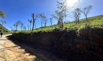 Imagem 2: Terrenos para chácaras com vista incrivel para o lago e rico em area verde