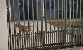 Imagem 6: Casa JD NITERÓI