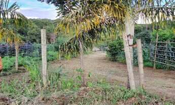 Imagem 2: Chacara em bonfinopolis