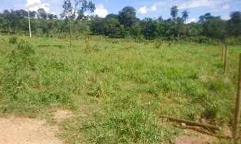 Imagem 3: Chácara 1.800m² 100% plana, toda terra de plantio, Jaboticatubas (Temos varias opções)