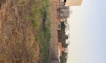 Imagem 3: Terreno Barra Forest