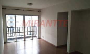 Imagem 2: Lindo apartamento em Água Fria