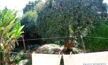 Imagem 7: CASA TÉRREA - PARQUE NOVO ORATÓRIO - SP