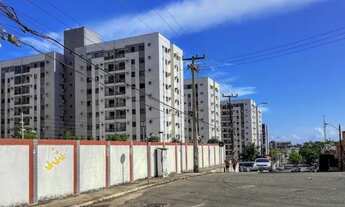 Imagem 3: GRAN PARK ÁRVORES