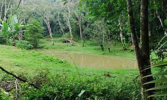 Imagem 6: Super oportunidade terreno 57 mil reais