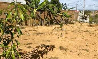 Imagem 4: Sitio 1.00m² todo murado, casa com vista na frente, Jaboticatubas