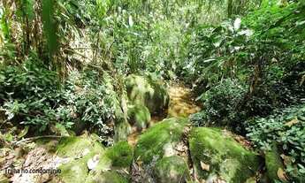 Imagem 5: São Paulo - Loteamento/Condomínio - Jardim Peri