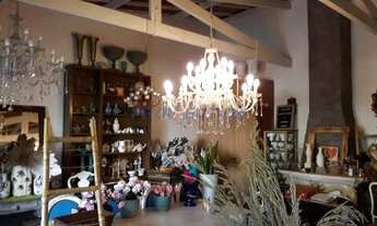 Imagem 7: Casa - Cidade Universitária - Campinas