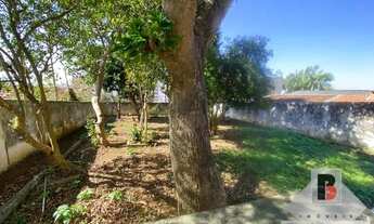 Imagem 3: Casa térrea a venda na Vila Alpina com quintal e horta