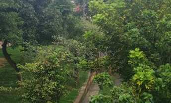 Imagem 6: Casa para aluguel com 1000 metros quadrados com 3 suítes em Itacoatiara - Niterói - RJ