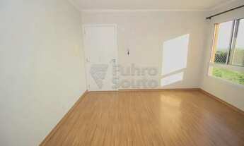 Imagem 4: Apartamento Padrão em Pelotas