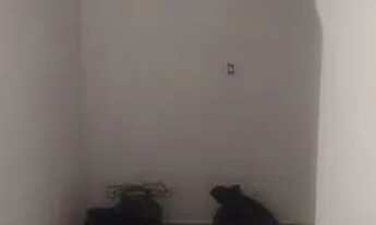 Imagem 7: Aluga se 1 casa com 1 quarto cozinha banheiro e lavanderia