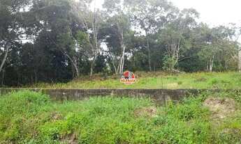 Imagem 4: Terreno à venda, 39325 m² por R$ 120.000 - Itaguaí - Mongaguá/SP