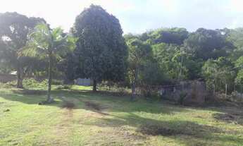 Imagem 2: Sitio com 4.500m2