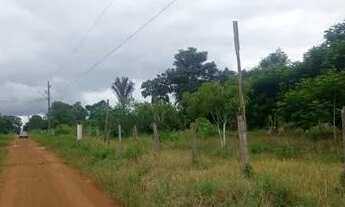 Imagem 3: Chácara a 5 km da ponte Rio madeira a 15 minutos do CPA em área escriturada
