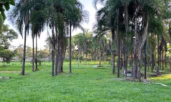 Imagem 5: Chácara em Hidrolândia-Go