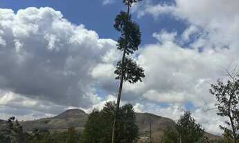 Imagem: TERRENO DE 1000M² PARA CHÁCARA EM SÃO