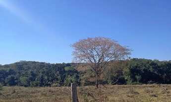 Imagem 5: Chácara de 5 alqueires e 8 litros