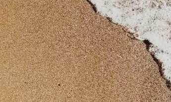 Imagem 3: Apartamento para Venda em Florianópolis, Campeche, 1 dormitório, 1 banheiro