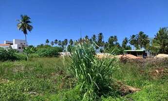 Imagem 10: No Paraíso de Tatuamunha tem umTerreno esperando por você!