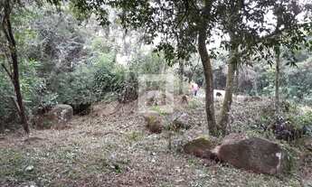 Imagem 4: Lote / Terreno em Vargem Grande - Florianópolis, SC