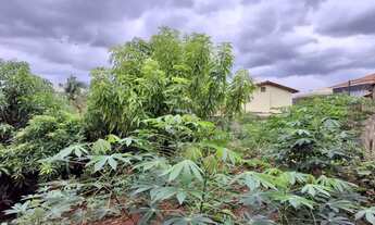 Imagem 4: Terreno padrão para venda no Bairro City, em Ribeirão Preto/SP