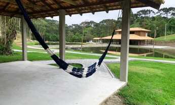 Imagem 3: Chácara linda, açude grande, poço artesiano, 150 metros do asfalto, em Campina grande do s