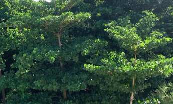 Imagem 2: Apartamento 2 quartos