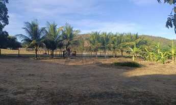 Imagem 3: Fazenda à Venda - 294 Alqueires Tocantins, na divisa com Goiás